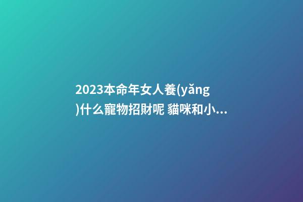 2023本命年女人養(yǎng)什么寵物招財呢 貓咪和小狗